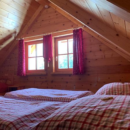 Pichelhuette Villa Murau Buitenkant foto