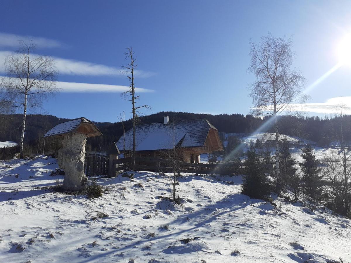 Pichelhuette Villa Murau Buitenkant foto