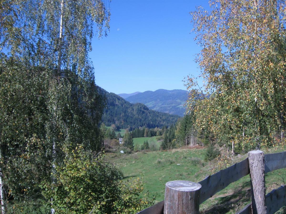 Pichelhuette Villa Murau Buitenkant foto