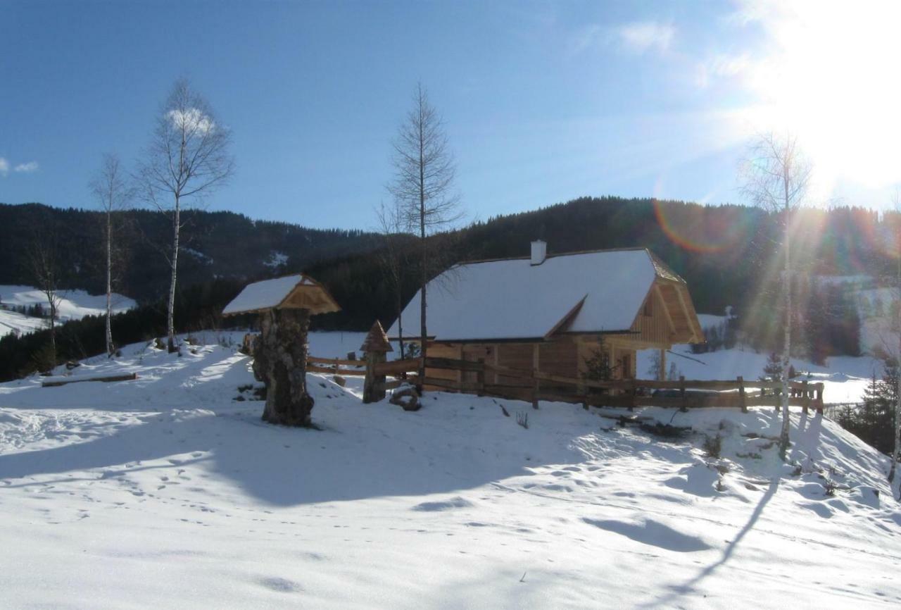 Pichelhuette Villa Murau Buitenkant foto